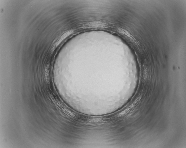 X0000058111162200510171237