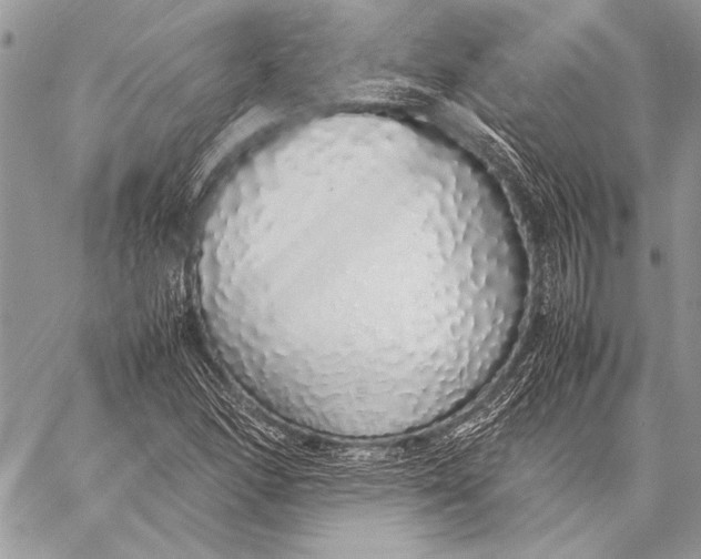 X0000058111166200510171237