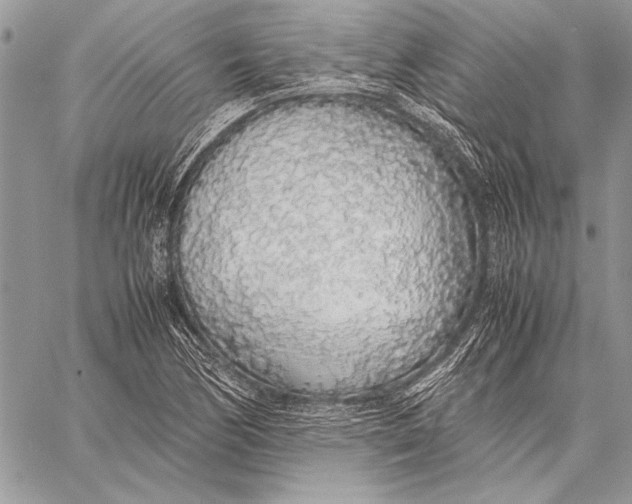 X0000058111170200510171237