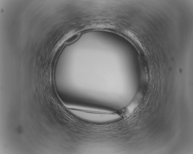 X0000058111173200510171236