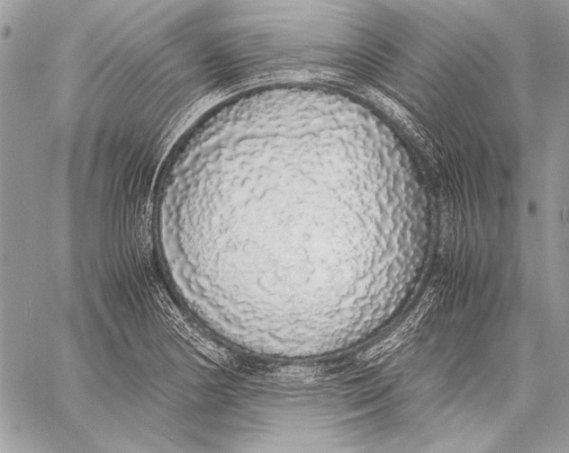 X0000058111178200510171236