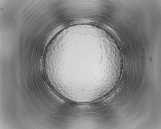 X0000058111186200510171236