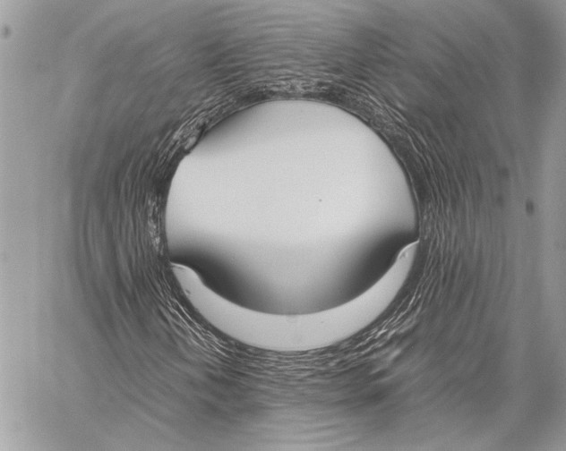 X0000058111202200510171235
