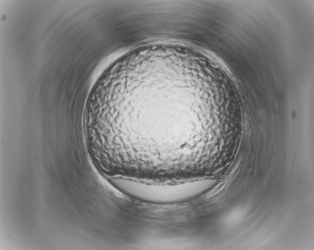 X0000058111247200510171236