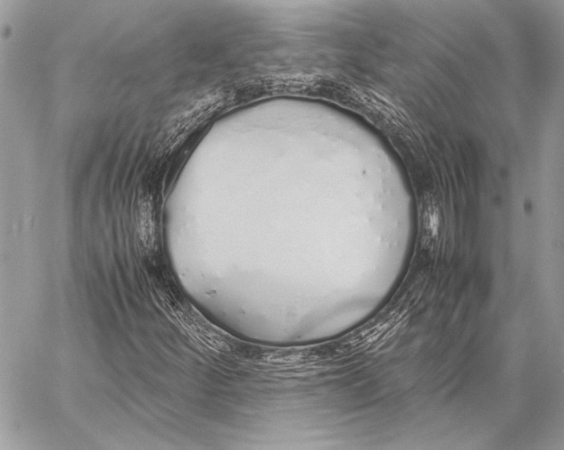 X0000058111252200510171235