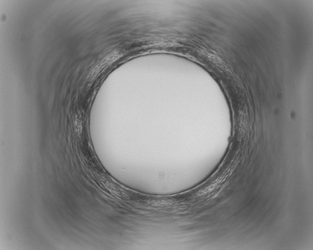 X0000058111257200510171235