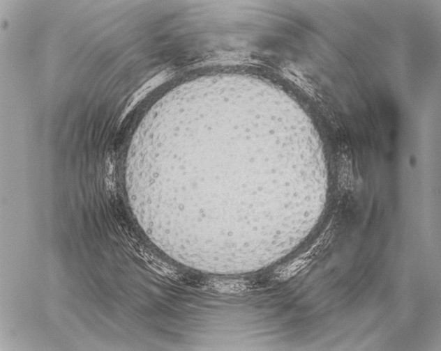 X0000058111258200510171235