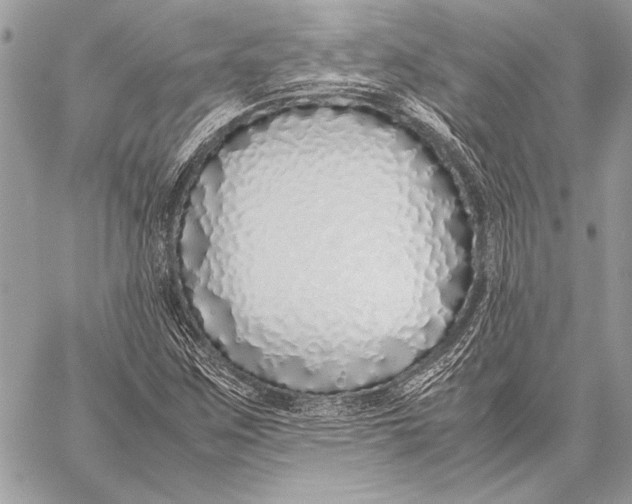 X0000058111259200510171235