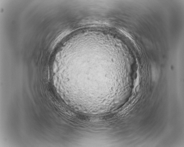 X0000058111267200510171235