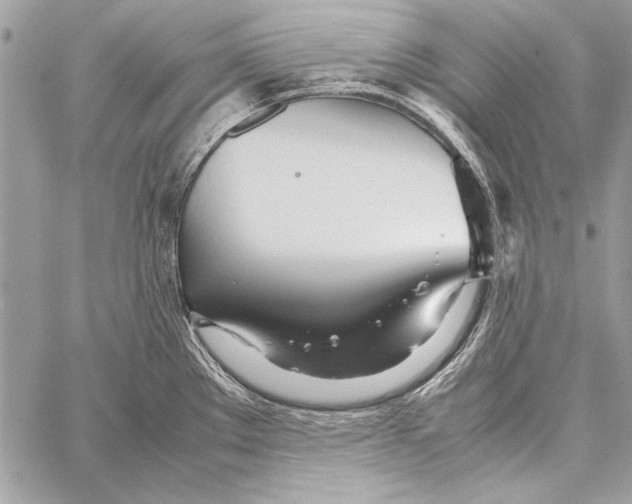 X0000058111289200510171235
