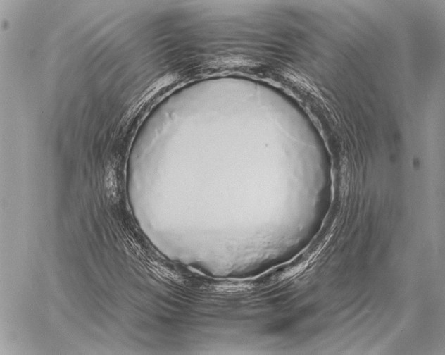 X0000058111305200510171234