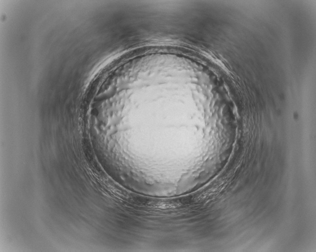 X0000058111311200510171234
