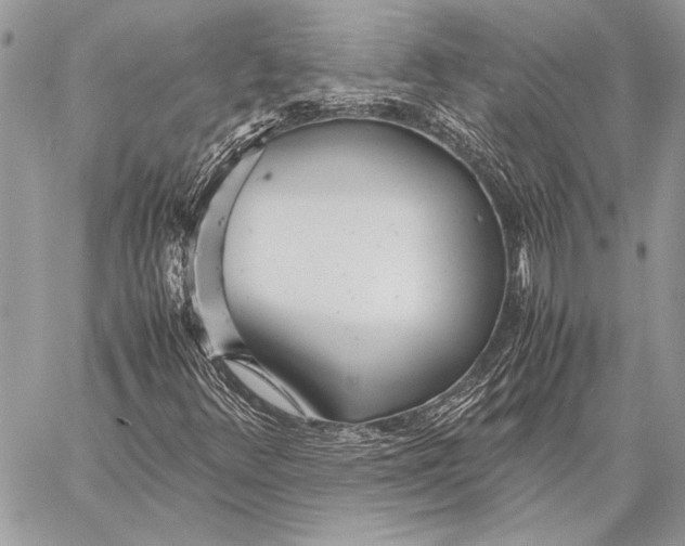 X0000058111348200510171234