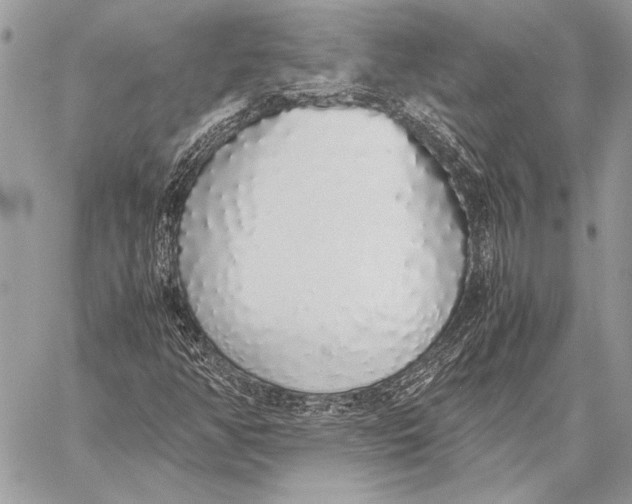 X0000058111350200510171233