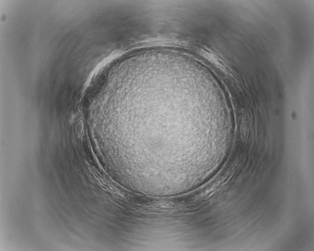 X0000058111358200510171233