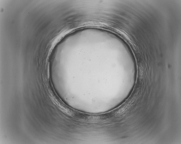 X0000058111371200510171233