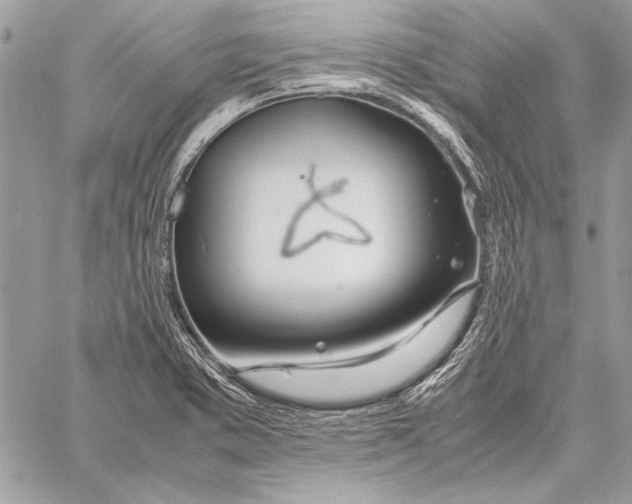 X0000058111373200510171233