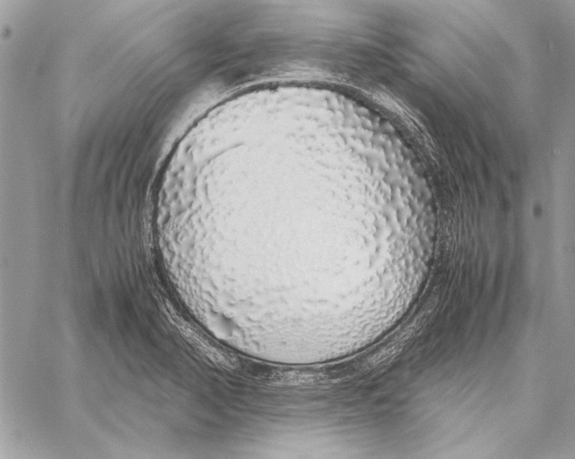 X0000058111374200510171233