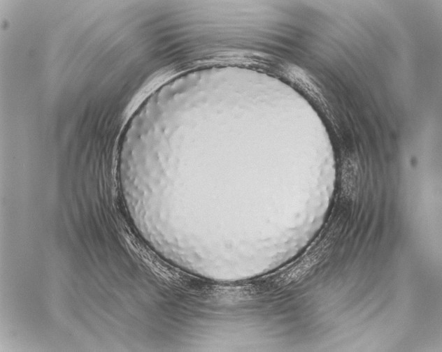 X0000058111378200510171233