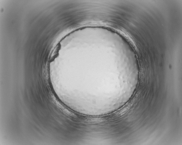 X0000058111382200510171233