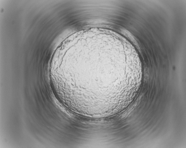 X0000058111386200510171233