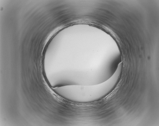 X0000058111434200510171233