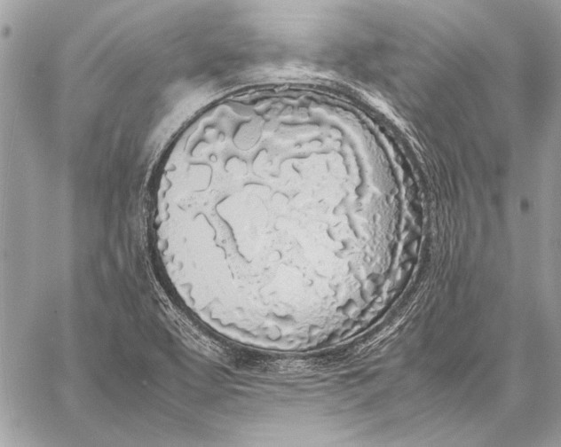X0000058111463200510171232