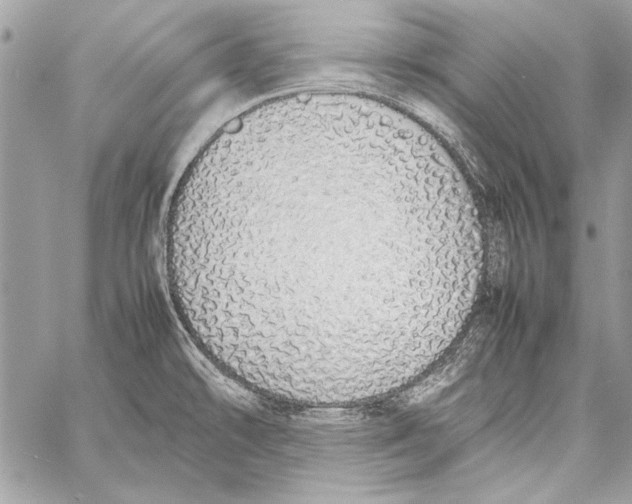 X0000058111478200510171231