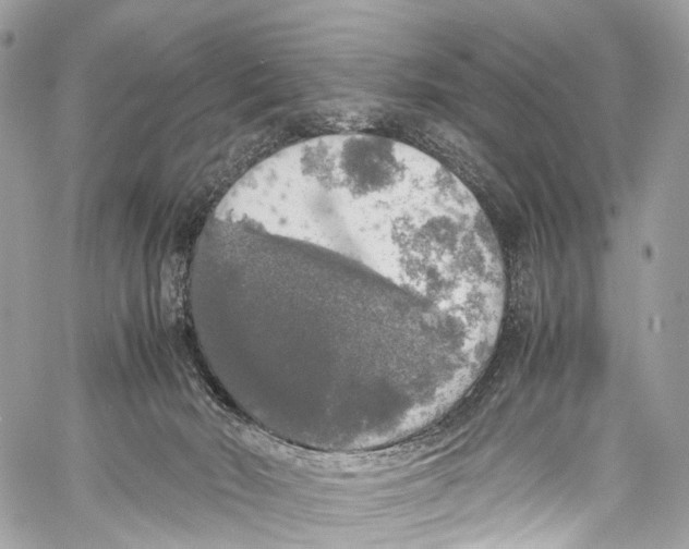 X0000058110030200510211512