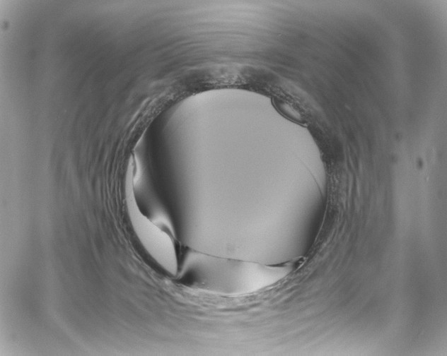 X0000058110035200510211512
