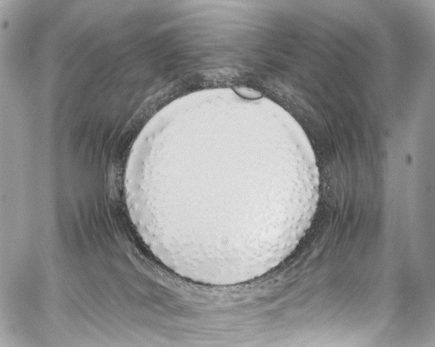 X0000058110038200510211512
