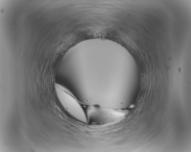 X0000058110039200510211512