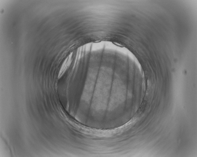 X0000058110048200510211512