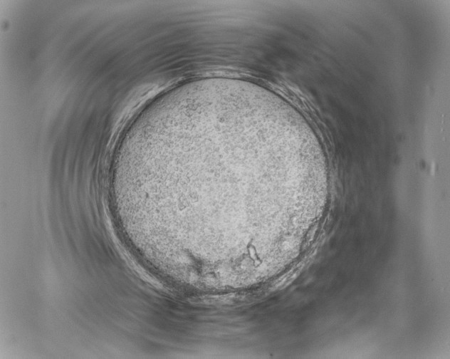 X0000058110049200510211511