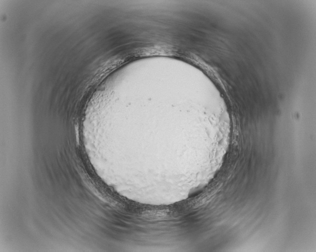 X0000058110061200510211511