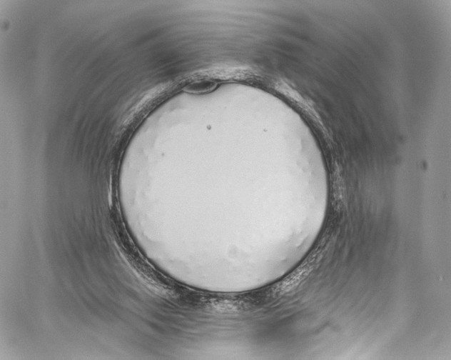 X0000058110062200510211511