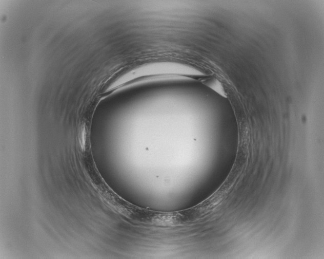 X0000058110076200510211511