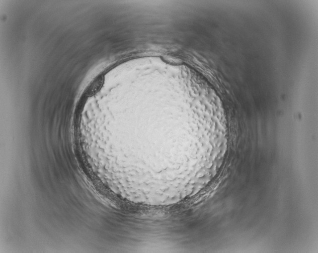X0000058110102200510211511
