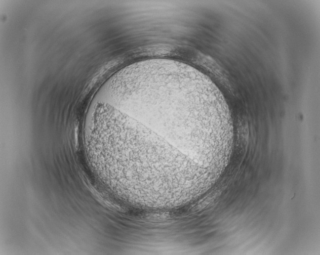 X0000058110110200510211511