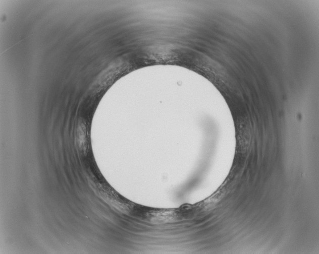X0000058110132200510211510