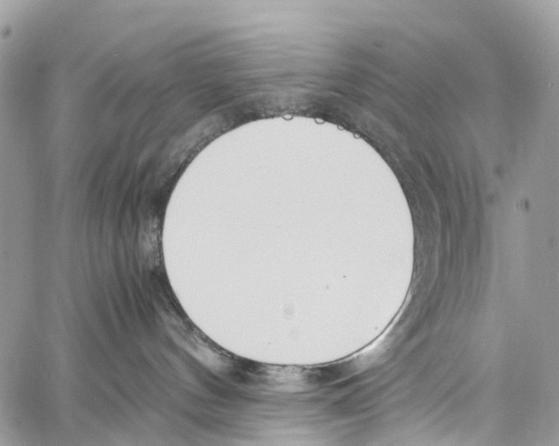 X0000058110144200510211510