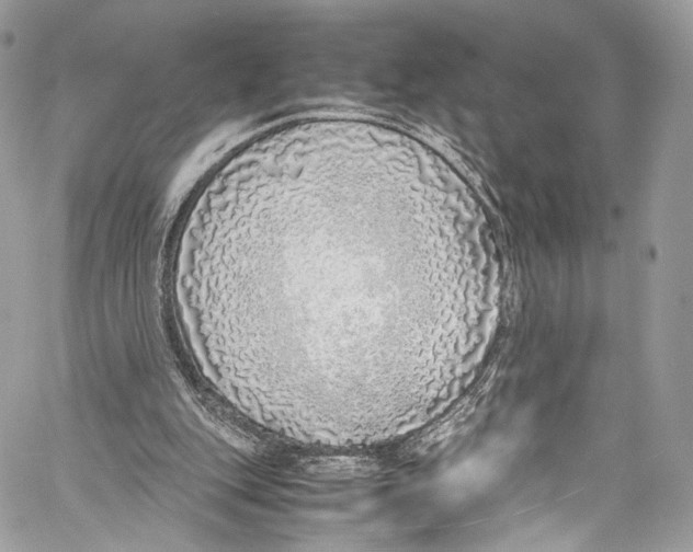 X0000058110151200510211509