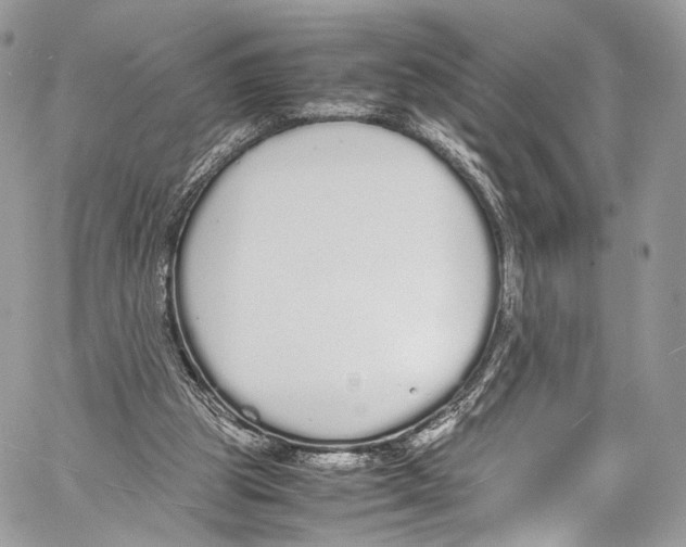 X0000058110153200510211510