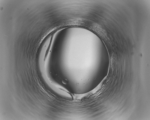 X0000058110156200510211510