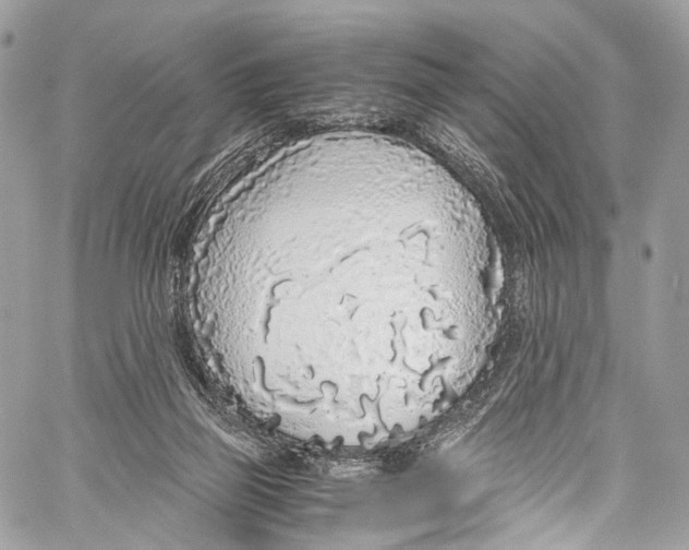 X0000058110165200510211510