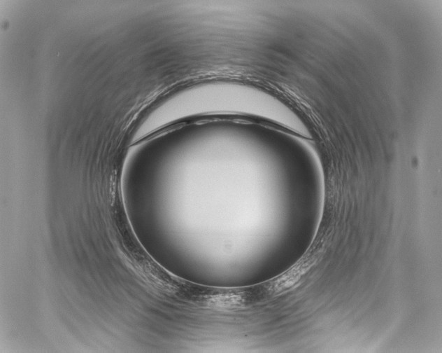 X0000058110168200510211510