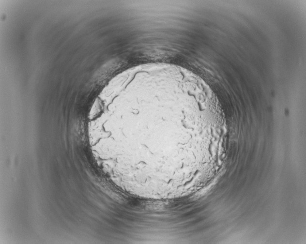 X0000058110182200510211510