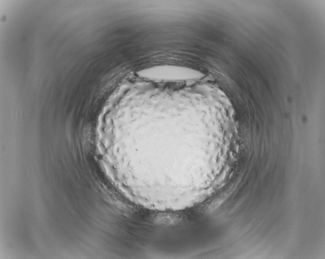 X0000058110189200510211510