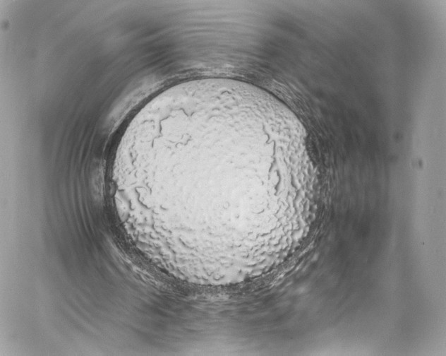 X0000058110194200510211509