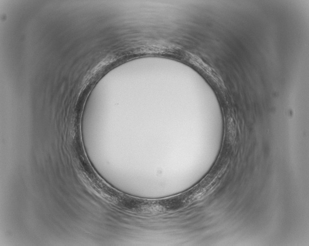 X0000058110203200510211509